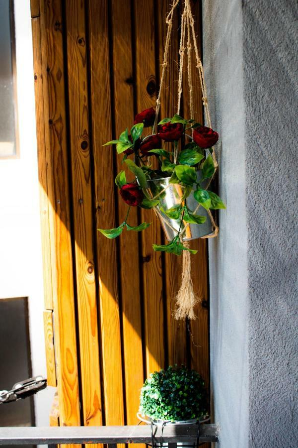 Refugio Da Vila - Refuge Of The Village Vouzela Exterior foto